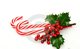 "Es un s&iacute;mbolo de la Navidad y la mayor&iacute;a de la gente lo cuelga en los &aacute;rboles navide&ntilde;os y los regala a la gente sin saber el verdadero significado".