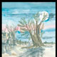 Portada del libro.