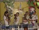 Giving the touch of love at the Missionaries of Charity's Children's Hospital in Port-au-Prince.