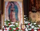 Next summer's course runs from June 14 to July 30, 2011.