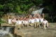 The week-long retreat has two tracks: a "Test Your Call" track for those considering a vocation to the Legion, a "God's Plan for Your Soul" track for those who want a God's-eye view of their life.