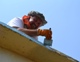 Hard at work on the elementary school in El Puentecito.