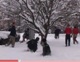 A glimpse into daily life at the Cheshire novitiate.