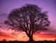"It has been a long and hard winter, but the spring is coming soon. The light is on the horizon."