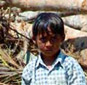 Tsunami Relief Fund